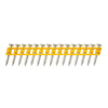 DeWALT DCN8901025 KLINCE STD DO BETONU 25 x 2,6mm, 1005KS v BALENI