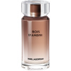 Karl Lagerfeld Bois D'Ambre pánska toaletná voda, 100 ml