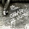 Žbirka Miroslav: Chlapec z ulice - Vinyl (LP)