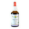 Salvia Paradise Brahmi Bacopa monnieri AF tinktura 50 ml