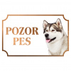 Aljašský malamut - Kovová tabuľka POZOR PES