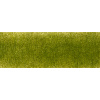 Pastelka Derwent Lightfast - Foliage