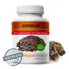 Mycomedica Coriolus extrakt 50% Vegan 90 kapsúl