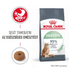 Royal Canin Digestive Care - granule pre dospelé mačky s citlivým trávením 10 kg