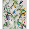 MINDTHEGAP Tropical Birds - tapeta