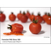 FOMEI A2+ (43,2 x 63,5cm)/20 FomeiJet PRO Gloss 300 (EY5849)