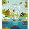 Překvapivé životy zvířat