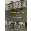 Zmizelá Praha-Nouzové kolonie - Martin Dolejský