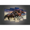 Obraz na plátne viacdielny - OB3713 - Kone 100cm x 60cm - S17