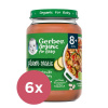 6x GERBER Organic 100% rastlinný príkrm ratatouille s makarónmi 190 g? VP-F167607