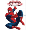 CUKROVÁ TLAČ jedlý obrázok na tortu Cukrová hmota Spider-man Avengers #1 + MENO