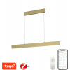 LED svetlo IMMAX NEO LISTON Smart závesné svietidlo 118cm 18W zlaté Zigbee 3.0 (07128L)