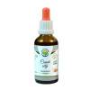 Salvia Paradise Česnek setý AF tinktura 50 ml