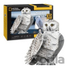 CubicFun 3D puzzle National Geographic: Sněžná sova 62 ks
