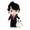 Harry Potter Harry stojaci s Hedvičkou 29 cm