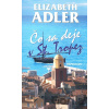 Čo sa deje v St. Tropez - Elizabeth Adlerová