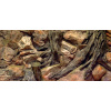 DIVERSA 3D Koreň 120x60cm