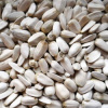 Slnečnica biela 30kg