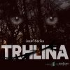 Trhlina - Jozef Karika - online doručenie