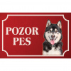 Aljašský malamut - Kovová tabuľka POZOR PES