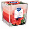 BISPOL Hibiscus - White sage170g