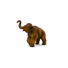 Mojo Mamut mláďa