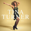 TURNER, TINA - QUEEN OF ROCK 'N' ROLL (5 LP / vinyl)