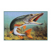 Delphin Rohož 3D šťuka - 60x40cm