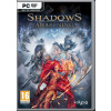 Shadows Awakening PC