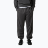 Pánske nohavice The North Face Expedition Celebration Relaxed Jogger Reg anthracite grey