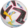 Futbalová lopta Puma Orbita Laliga FIFA Pro 083864 01 meczówka