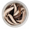 Osie larvy Berkley PowerBait 2.5cm Farba: Grey Pearl
