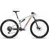 Santa Cruz Blur 4 R TR Carbon C - matte silver LG