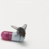 Red Hot Chili Peppers - I'm With You (Digisleeve) (CD)