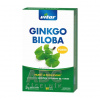 Vitar Revital Ginkgo Biloba Forte 60 kapsúl