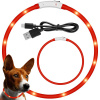 Verk LED svítící obojek pro psy a kočky nastavitelný voděodolný 47cm USB