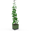Gusta Garden GG-143C10
