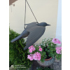 Repeller Bird - Vrana za letu (Repeller Bird - Vrana za letu)
