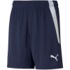 Puma teamLIGA Šortky Jr 704931 06 116 cm