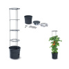 Kvetináč Prosperplast TOMATO GROWER na pestovanie paradajok 29,5 cm antracit
