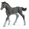 Schleich 13944 Zvieratko – žriebä trakénske 4059433461106