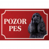 Americký kokeršpaniel - Kovová tabuľka POZOR PES