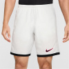 Kraťasy Nike White 3739328