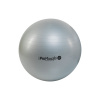 Ledragomma Gymnastik Ball Maxafe 65cm