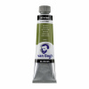 Olejová farba Van Gogh 40 ml - 623 Sap Green