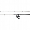 Penn Legion Cat Bronze Vertical 192 300-600g Combo