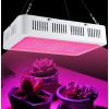 HIBRIGHT PROFI LED GROW panel pre všetky rastliny so zabudovaným samochladiacim systémom, 95W, 230V, ružová