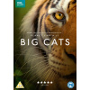 Big Cats DVD