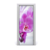 Fototapeta na dvere ružová orchidea 75x205