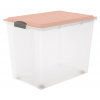 Rotho úložný box COMPACT 70L - růžová